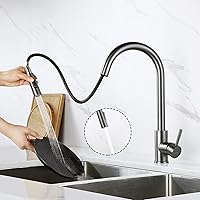 Lonheo Edelstahl Wasserhahn Küche ausziehbar Küchenarmatur mit herausziehbarer Dual-Spülbrause 360° drehbar…