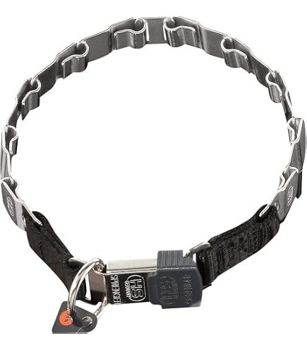 Sprenger Hundehalsband aus stabilem Paracord Nylon mit Edelstahl Clic Lock  Verschluss I Wasserabweisende Halskette, reflektierend, langlebig 50 cm,  orange : Amazon.de: Haustier