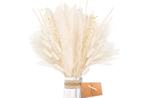 ZJTAPE Pampas Sechees - Fleur Sechees Naturel Décoration, Blanc de Décoration de Lagurus, Bouquet de Fleurs Secher pour Travaux Manuels, pour Table de Mariage, Vases de Salon, Décoration Bohème