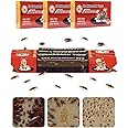 30 x Cockroach Trap SOSALUK Cockroach Trap Cockroach Trap Cockroach Control Bed Bug Trap Effective Agent Against Cockroaches Scraping Other Insects Toxic Insect Trap Cockroach Trap Adhesive Traps