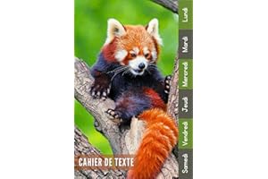 Cahier De Texte: 2023 2024 Panda Roux Pour Étudiants CP, CE1, CE2, CM1, CM2, Collège Et Lycée Pratique Pour Toutes Les Matières