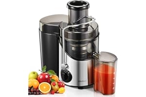 Housnat Centrifuga Frutta e Verdura, Centrifuga Frutta con 65 MM Bocca Larga, Estrattore Frutta e Verdura di Acciaio Inox con 3 Velocità, 400W, Senza BPA, Includi Spazzola