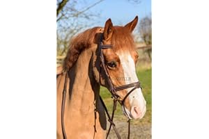 Astile Equestrian Leather Comfort Horse Bridle With Flash Noseband Hand Stitched Design Black Brown (FULL, BROWN)