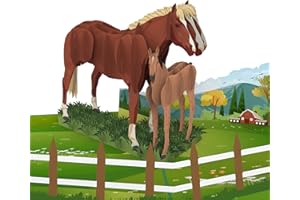 MOKIO® Biglietto Auguri Pop-Up – Cavallo con Puledro – Biglietto regalo 3D per gli amanti dei cavalli per un compleanno, come buono per lezioni di equitazione o per regali in denaro
