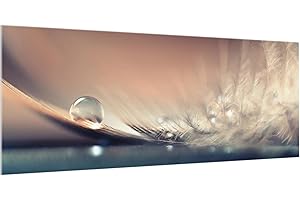 Bilderwelten Spritzschutz Glas - Story of a Waterdrop - Panorama Quer, HxB: 50cm x 125cm