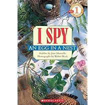 I Spy a Skeleton (Scholastic Reader, Level 1) : Marzollo, Jean