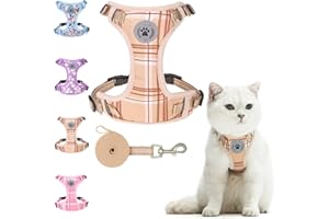 BEAUTYZOO Katzengeschirr und Leine, Set zum Spazierengehen, ausbruchsicher, verstellbares Geschirr für Kätzchen, Welpen, kleine, kleines Katzengeschirr für Katzen, Jungen und Mädchen