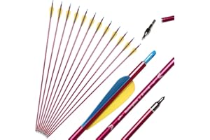 Huntingdoor 12 Pcs 31" Aluminium Arrows Archery Hunting Arrow with Removable Tips Target Practice Arrows for Compound Bow Recurve Bow Longbow