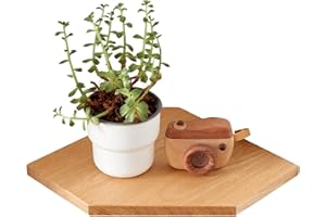 OAKERLAND Mensola Angolare in Legno di Quercia da Parete Con Foro per Cavi, Piccola Sospesa per Piante, Camera da Letto, Soggiorno, Cucina (22 cm)