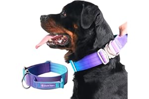 Spark Paws Tactical Dog Collar - Robust, Premium Quality, Thick and Durable for Large and Medium Dogs - 90s Retro - L