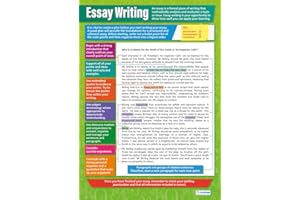 Essay Writing | Angielskie plakaty | papier z połyskiem o wymiarach 850 mm x 594 mm (A1) | Językowe plakaty w klasie | Wykresy edukacyjne by Daydream Education