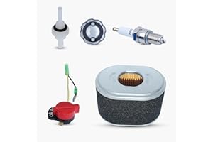 HAISHINE Filtro de Aire Tapa del Tanque de Combustible Interruptor de Filtro de unión Kit de Ajuste para Honda GX160 GX200 GX 160 200 5.5HP 6.5HP Generador de Motor de Gasolina