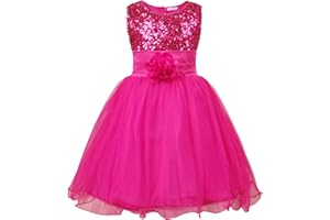 JerrisApparel Petite Fille Paillette Fête Fleur Robe de Cérémonie Bal Banquet Tulle