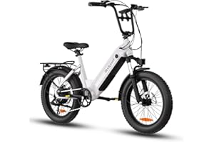 Bodywel F20 Bicicleta Eléctrica, 20x3” Todo Terreno Bici Electrica Adultos, Batería 48V 13.5Ah, Motor 250W, 7 Velocidades, Horquilla de Suspensión, Frenos de Disco Doble