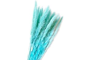 YIWOYI 15 tallos de hierba de pampas secas, colorido natural seco de la caña de la flor de la pampa, fragmitas, ramo de flores secas para la decoración moderna del hogar, boda, fiesta (azul)