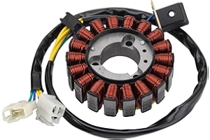 WOOSTAR 18 Bobinas Estator Magneto Reemplazo para Hyosung GV250 GT250 Pocket Bike Cruiser Motorcycle 2009-2018 Motor