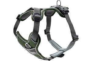 HUNTER Hundsele, grön/grå, 45–56 cm