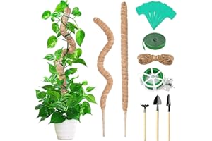 Anevios 2 Piezas Tutores para Plantas 120 cm con 20m Cinta para Plantas y Herramientas de Jardín Palo de Totem de Coco Plantas Trepadoras para Plantas de Interior Soporte Plantas Trepador