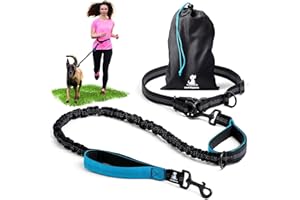 SparklyPets - Hands Free Dog Lead for Medium and Large Breeds - Professional Waist Leash for Walking, Hiking, Training, Jogging, Canicross, Running with Reflective Stitches (Blue, For 1 Dog)