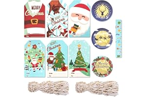 BIULDPY 100 étiquettes cadeaux de Noël, 10 motifs festifs avec ficelle