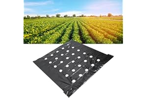 Cafopgrill Mantillo Perforado, Plantas Negras Película Perforada De PE para Jardín Película Negra De Mantillo Láminas De Plástico De Barrera De Vapor Película Agrícola De Mantillo