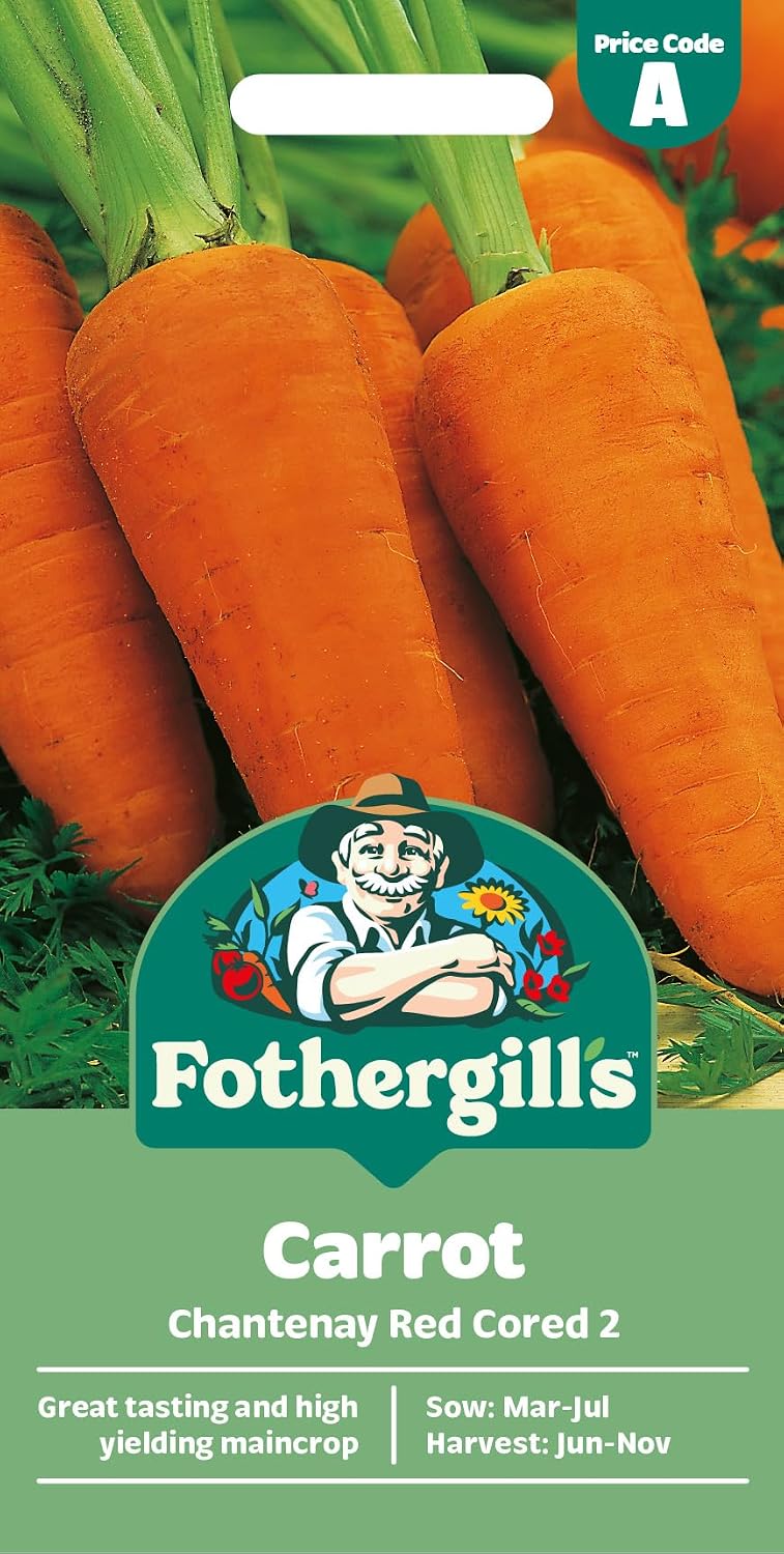 Fothergill's Carrot Chantenay Red Cored 2, Vegetable Seeds, 2000 Seeds, Sow: Mar-Jun