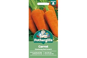 MR FOTHERGILLS Fothergill's Carrot Chantenay Red Cored 2, Vegetable Seeds, 2000 Seeds, Sow: Mar-Jun