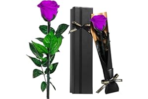 Touloube Rosa Eterna Natural Preservada, Ideas Regalos Mujer para Mama Novia Abuela Hermana Amiga Esposa, Regalo Aniversario Cumpleaños Navidad Mujer, Te Amo Regalo, San Valentín, Morado