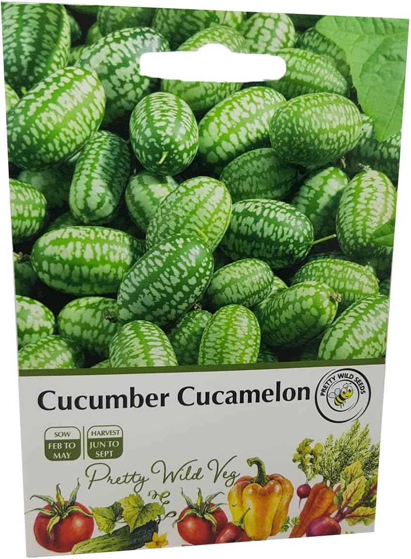Cucumber Cucamelon Seeds in Pictorial Packet from a UK Seller Cute Fruits with Unique Crunch & Flavour