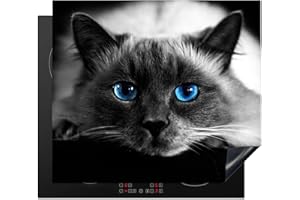 KitchenYeah© Protezione Piano Cottura Tappetino per Induzione 60x52 cm Cucina Proteggi Coprifornello Antiscivolo Gatto - Nero - Occhi