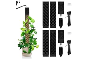 LangRay Lot de 4 bâtons de mousse pour plantes grimpantes Monstera - Tuteur en plastique pour plantes grimpantes - Support pour plantes grimpantes