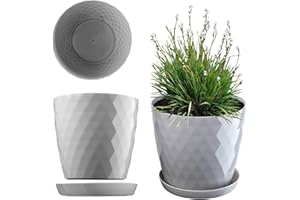 KADAX Plastikowa Doniczka na kwiaty, okrągła donica z podstawką, lekki i wytrzymały materiał, dekoracyjna doniczka na rośliny, zioła (ø14 cm, szara)