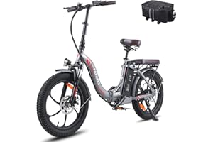 ‎FAFREES Fafrees E Bike 20 Zoll Klapprad, Elektrofahrrad für Herren Damen Bis 25 km/h mit 36V 18AH Akku und 250 W-Motor, Elektrofahrräder für Stadt und Land, F20 Pro