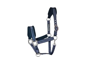 equilibrium Stellar Style Safety Headcollar