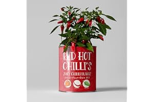THE PLANT GIFT COMPANY Chilli Plant Luxury Grow Kit, The Plant Gift Co. Red Hot Chillis, Men Gardening Gift; Habanero, Cayenne and Jalapeno.
