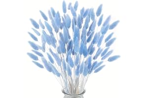 deegbbyi 120 Piezas Decoración de Hierba de Pampa Seca Azul, Flores Secas de Cola de Conejo, Decoración de Estilo Bohemio, para Bodas, Decorardel Hogar, Fiestas, Jarrones Decorativos