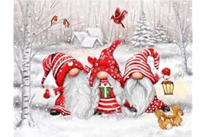 NAIMOER Christmas Gnomes Diamond Painting Kits for Adults, 5D Cardinal Diamond Painting Kits for Adults Kids, DIY Full Drill Christmas Diamond Art Winter Diamond Dots for Home Decor 30x40cm