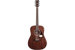 Ibanez AW54OPN Artwood Guitare acoustique dreadnought – Open Pore Natural