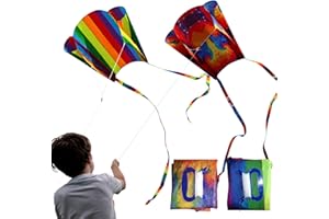 ATBUSS Lot de 2 cerfs-volants multicolores avec longues queues colorées - Jouet d'extérieur pour débutants