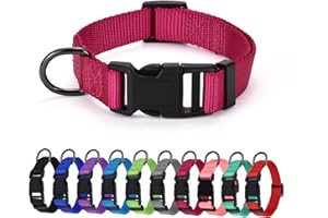 AUDWUD Dickes Nylonhalsband,klassisches verstellbares Hundehalsband in Mehreren Farben,geeignet für kleine,mittlere und große Hunde,4 Größen