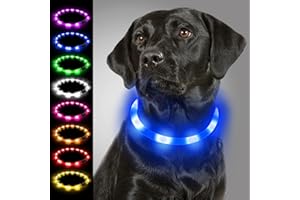 Joytale Collar Luminoso Perro, Collar para Mascotas LED Ajustables con Luz, Collares Recargable USB para Perros Pequeños, Medianos y Grandes, Azul