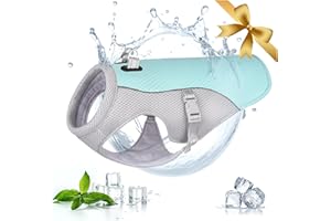 VIVI BEAR Gilet de Refroidissement pour Chien,Harnais de Gilet Refroidissant Chien Manteau de Rafraîchissant Chien,Veste de réglable et Bande réfléchissante Grands Moyens et Petits Chiens