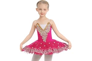 IBTOM CASTLE Fille sans Manches Robe Ballet Brodée de Plumes Justaucorps Gymnastique Patinage Ballet Tutu Costume de Danse Enfant Ballerina 4-14 Ans