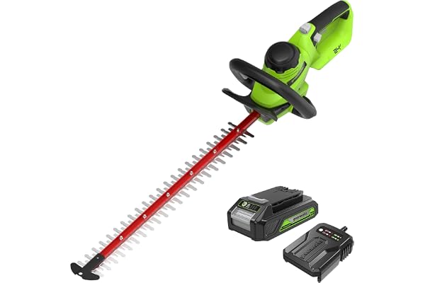 Greenworks Taille-haie sans Fil 24V G24HT56IIK2, Lame Double Action de 56cm, Coupe des Branches et tiges jusqu'à 25,4mm d'épaisseur et 3000 SPM avec Batterie 2Ah & Chargeur