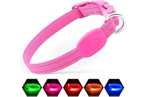 Illumifun LED Dog Collar, USB Rechargeable Light Up Dog Collar Glow in the Dark, Pet Safety Collar Lights for Night Walking Camping (Pink, X-Small)