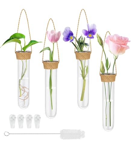 6 Stück Glas-Wandpflanzgefäße Mit Aufhängern – 15x6 Cm, Für Sukkulenten & Hydrokultur, Unsichtbare Haken
