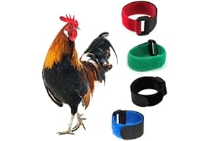 Lodoot 2 x Krähenhalsband, Huhnhalsband, geräuscharm, Anti-Haken, Halsband, Halsband für Hühner von Krähen, Anti-Hahn-Krähen ohne Haken