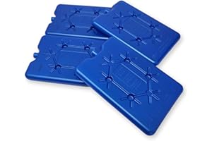 ToCi Lot de 4 blocs réfrigérants bleus de 200 ml chacun - Pour sac isotherme ou glacière - Fins et extra plats - Pour sac isotherme