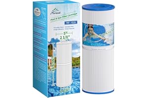TOREAD Replacement for Spa Filter PRB25-IN, Unicel C-4326, Filbur FC-2375, Pentair R173429, 3005845, 17-2327, 100586, 33521, 25392, 817-2500, Guardian 413-106, 5X13 Drop in Spa Filter, 1 Pack