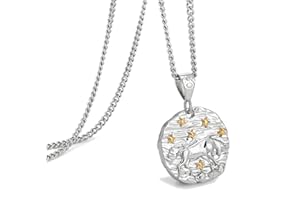 Speroto Zodiac Necklace - Stainless Steel 12 Constellation Necklace for Men/Women Matching Necklaces - Horoscope Astrology 3D Embossed Pendant Necklace - Gifts for Women and Men